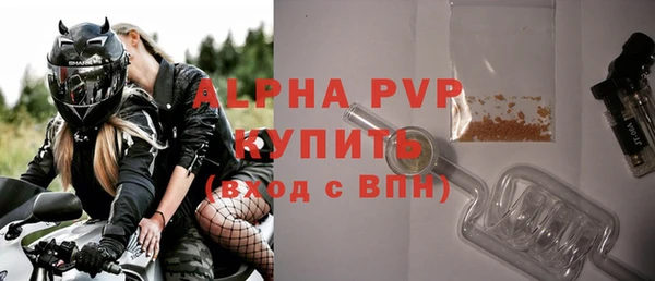 дживик Белокуриха