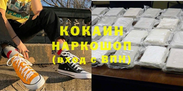 дживик Белокуриха
