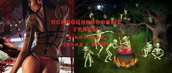 mdma Богородск
