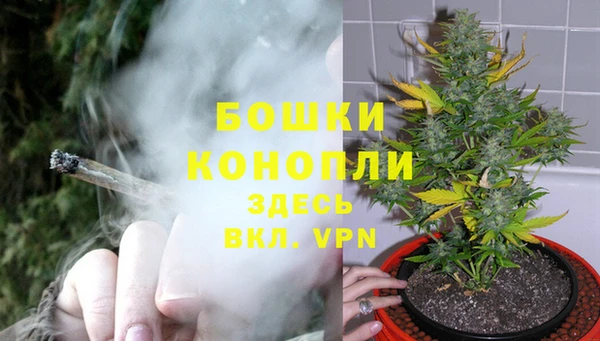трава Беломорск