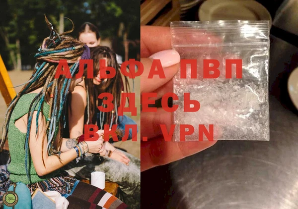 дживик Белокуриха