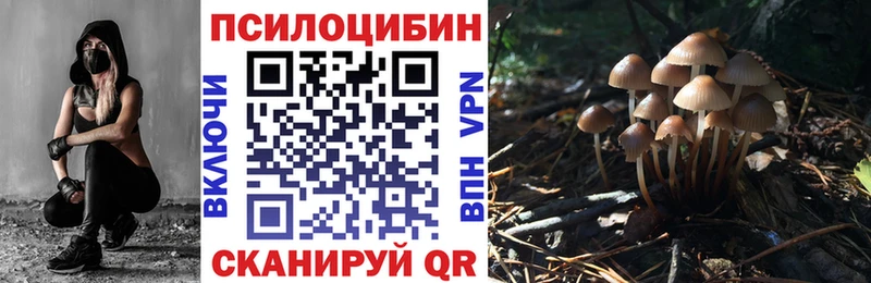 Галлюциногенные грибы ЛСД omg ссылки Нестеров